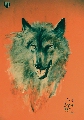 Loup